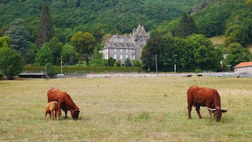 A large, historic building surrounded by a grassy field with cows grazing.