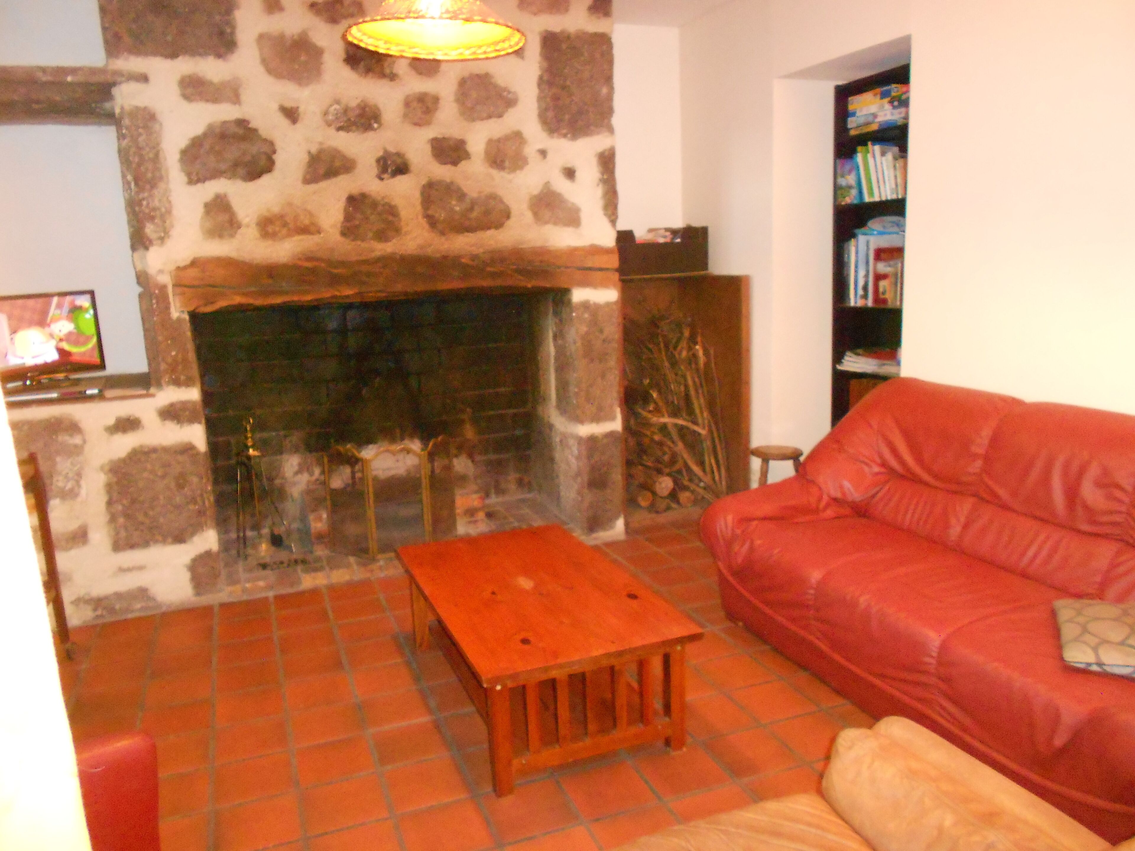 Fernseher, Kamin, DVD-Player, Bücher