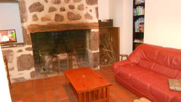 Fernseher, Kamin, DVD-Player, BĂŒcher