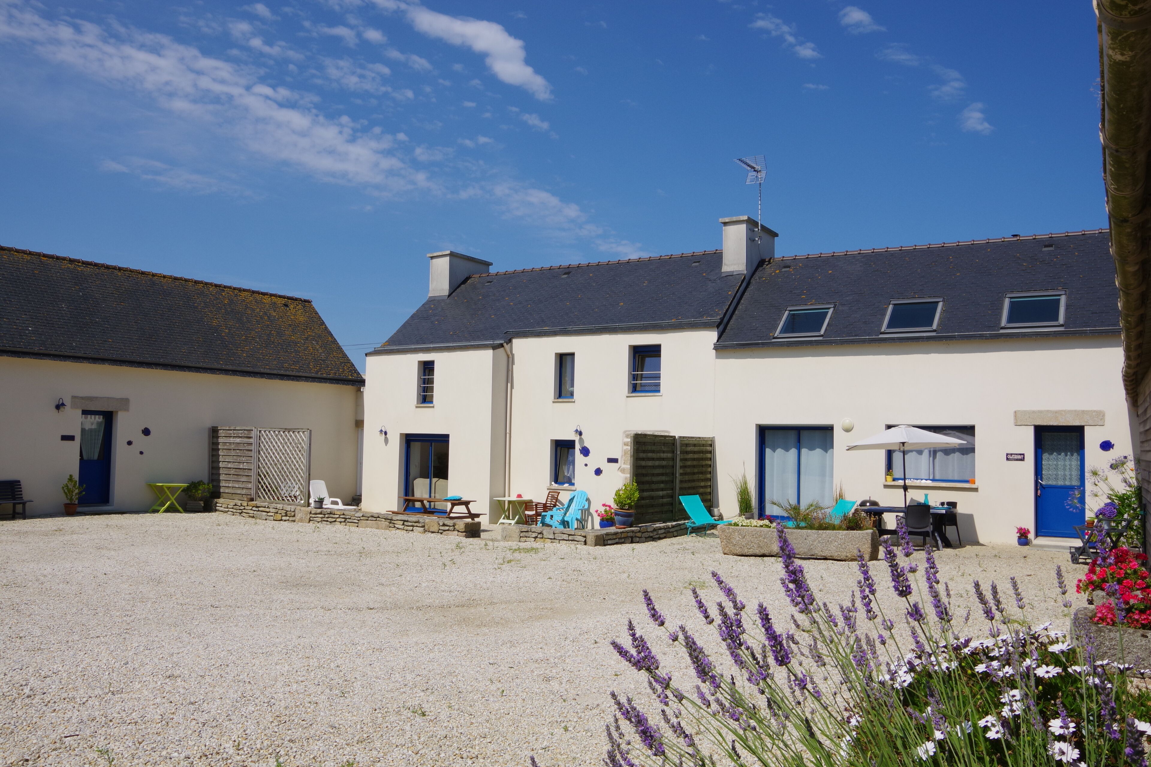 A courtyard with a gravel ground, a white building with a blue door, and a garden with lavender and other flowers.
