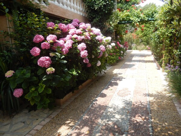 Overnattingsstedets uteområder