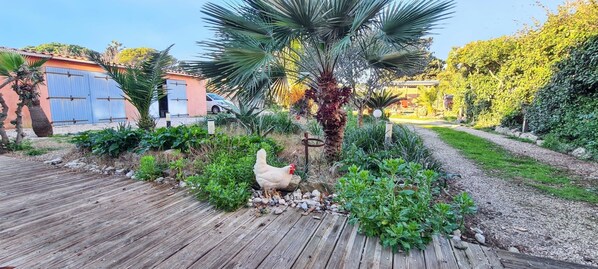 Enceinte de l’hébergement