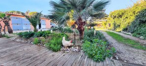 A garden with a wooden deck, a chicken, and a building with blue doors.