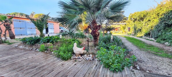 Property grounds - Homerez - Studio - Hyères (Hyères)
