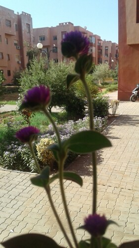 Quiet high standing apartment guest house surrounded by mature gardens