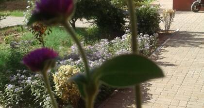 Quiet high standing apartment guest house surrounded by mature gardens