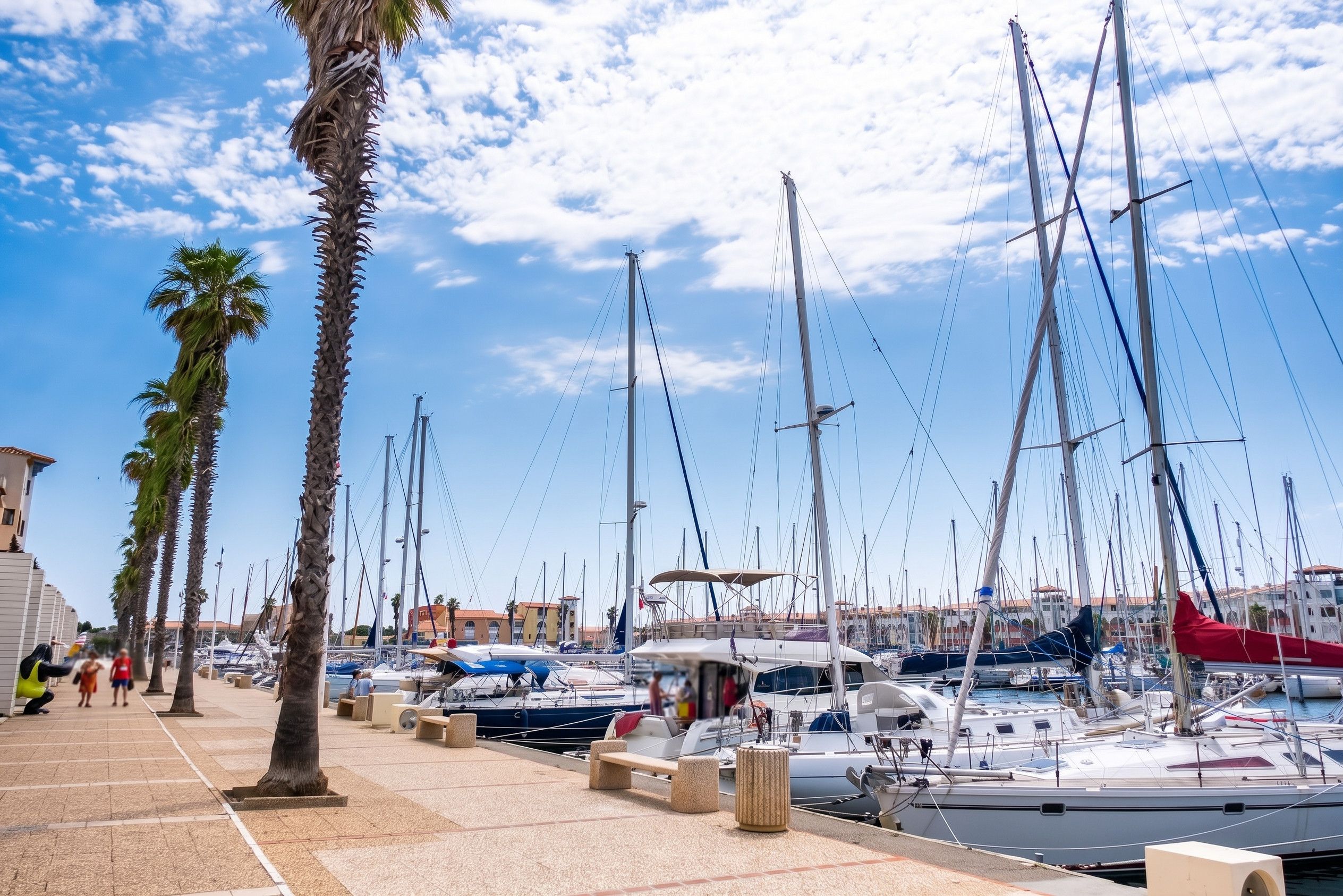 Un port de plaisance où sont amarrés de nombreux voiliers, des palmiers bordant la promenade, et des bâtiments en arrière-plan.