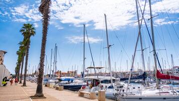 Un port de plaisance où sont amarrés de nombreux voiliers, des palmiers bordant la promenade, et des bâtiments en arrière-plan.