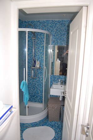 Bathroom features a shower enclosure, sink, and mirror.