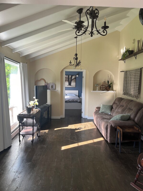 Smart TV, fireplace, books