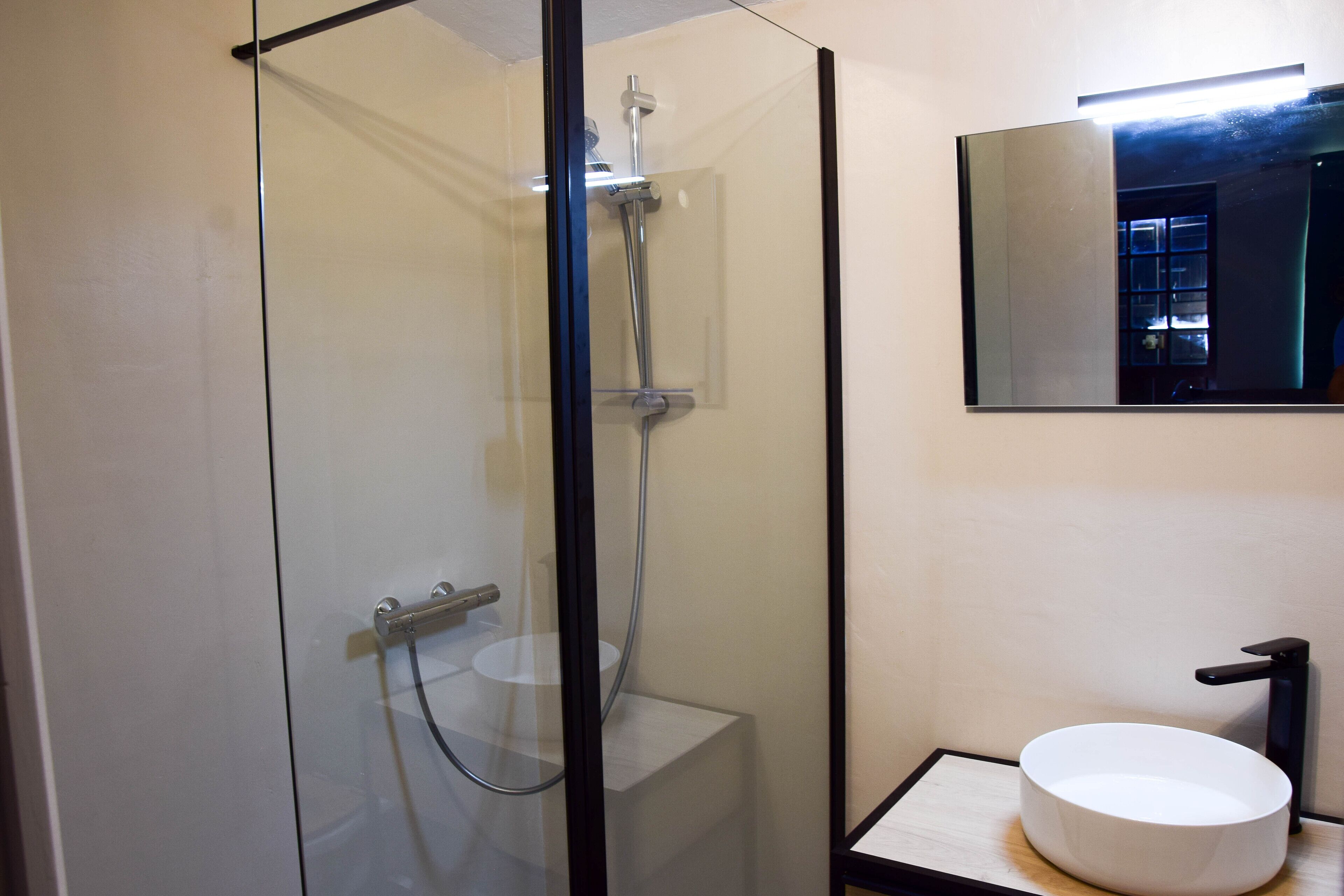 A modern bathroom with a glass-enclosed shower, a white sink, and a mirror on the wall.