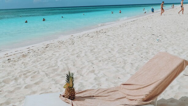 Een strandscène met een ligbed, een ananas en een helderblauwe lucht.