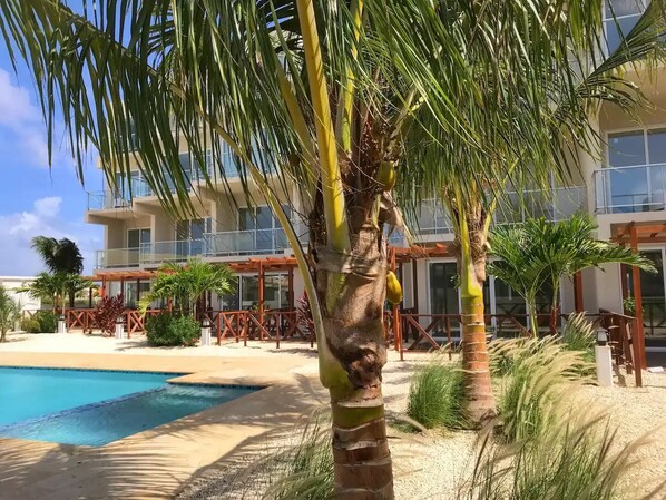 A pool area with palm trees, a building with balconies, and a clear sky.