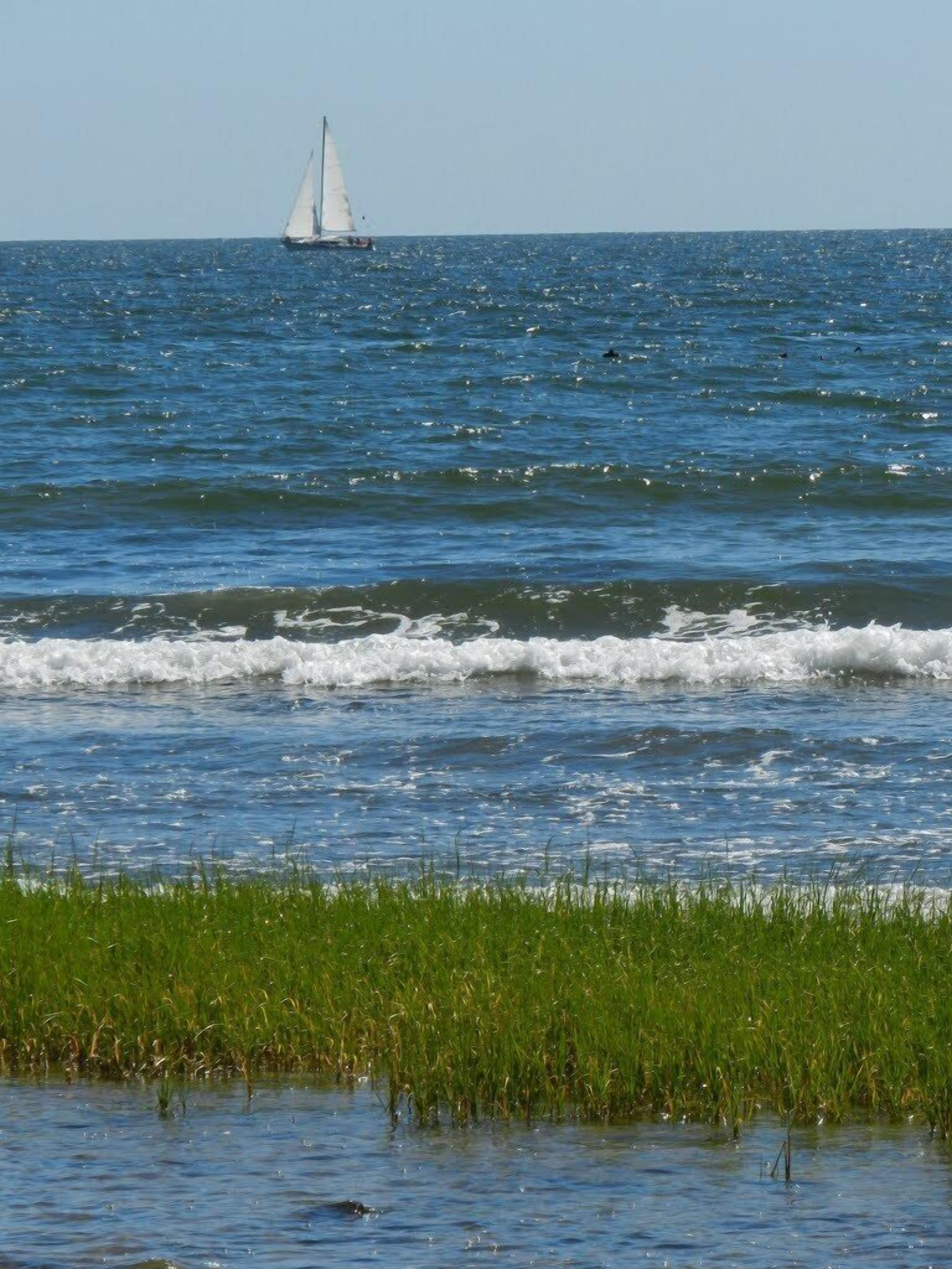 Un velero en un mar tranquilo con olas rompiendo en la orilla.