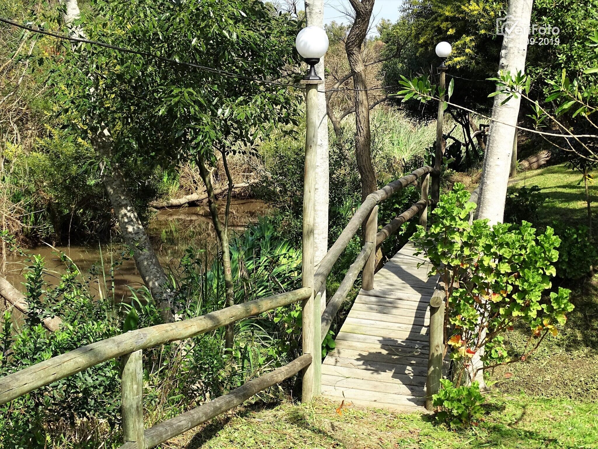Taman