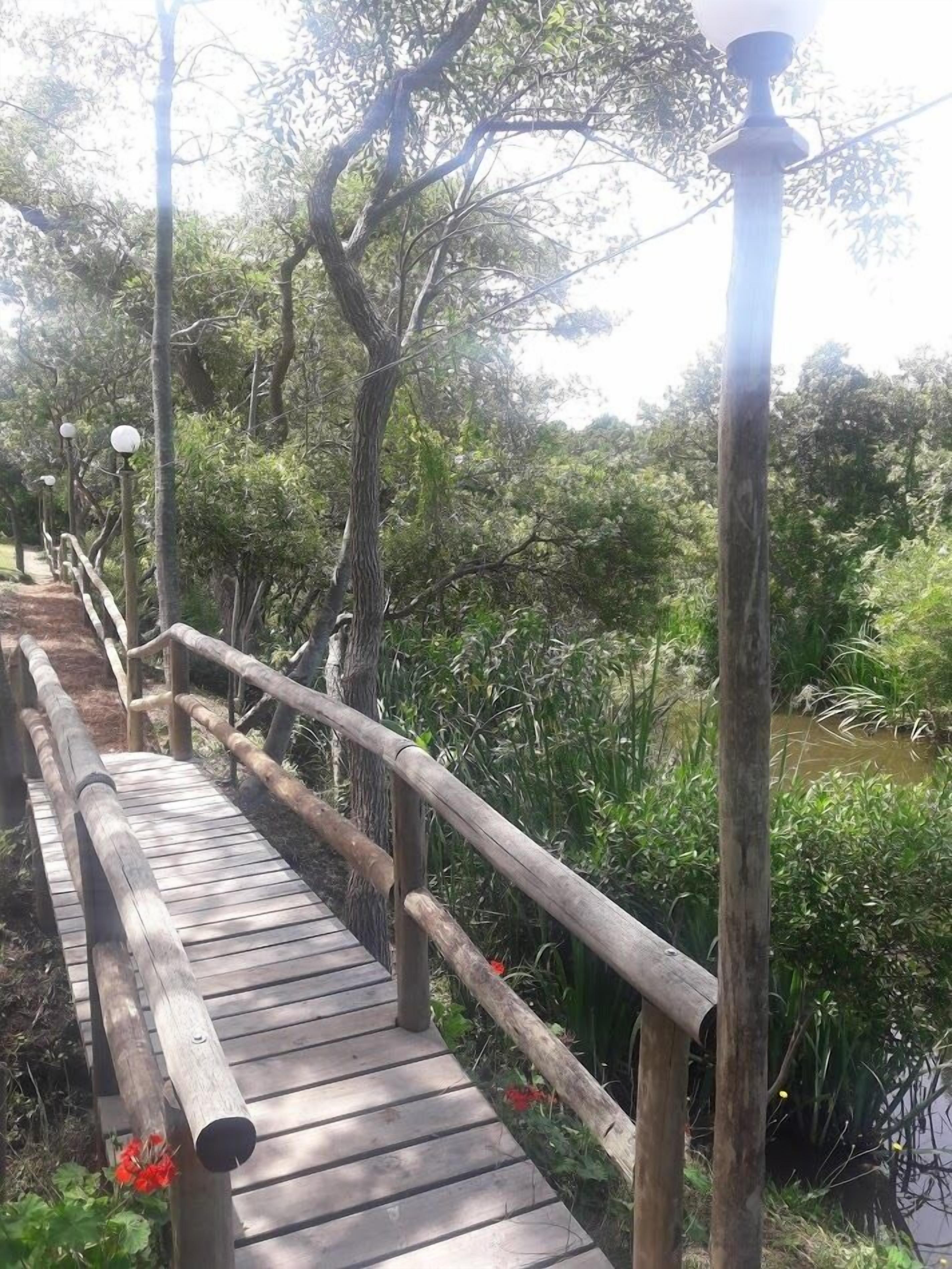 A wooden bridge with railings and lamp posts, surrounded by greenery and trees.