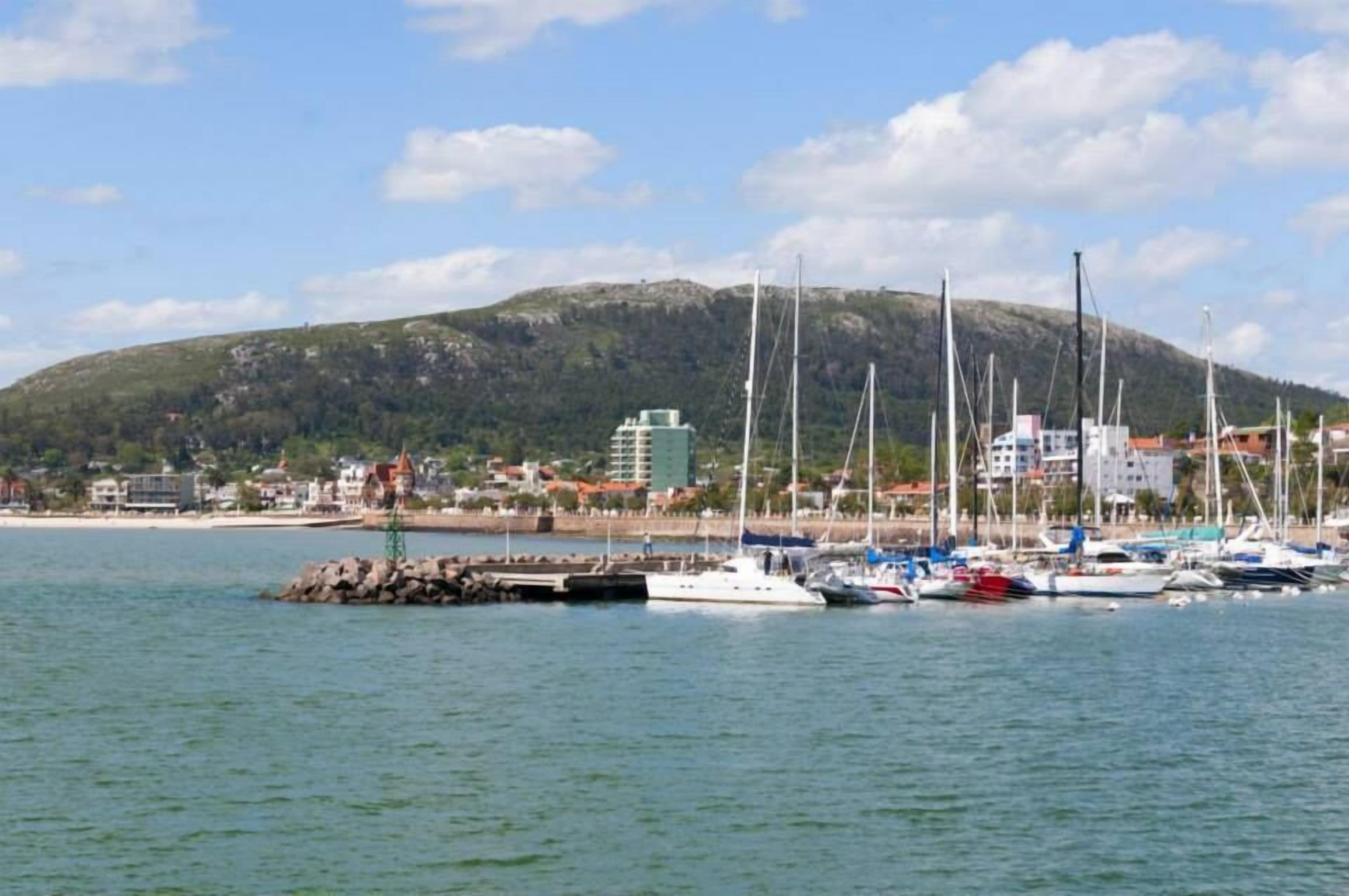 A marina with boats docked, a rocky breakwater, and a hill with buildings in the background.