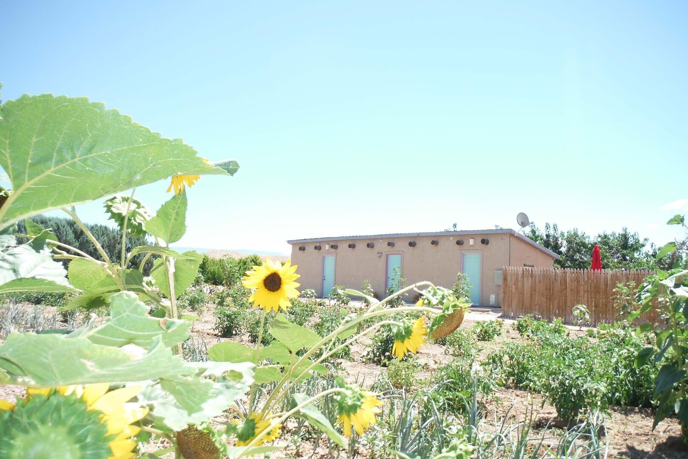 Orchard Guesthouse Cottage