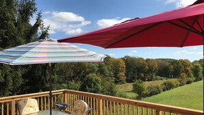 Een terras met een glazen tafel en stoelen, een rode parasol, en uitzicht op een groen landschap.