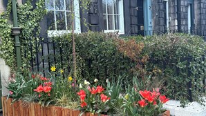 Un edificio con amplios ventanales y una jardinera de madera con flores.
