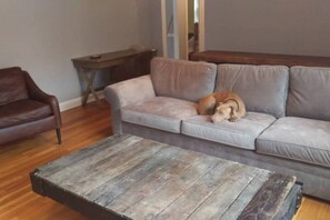 Smart TV, books, printers