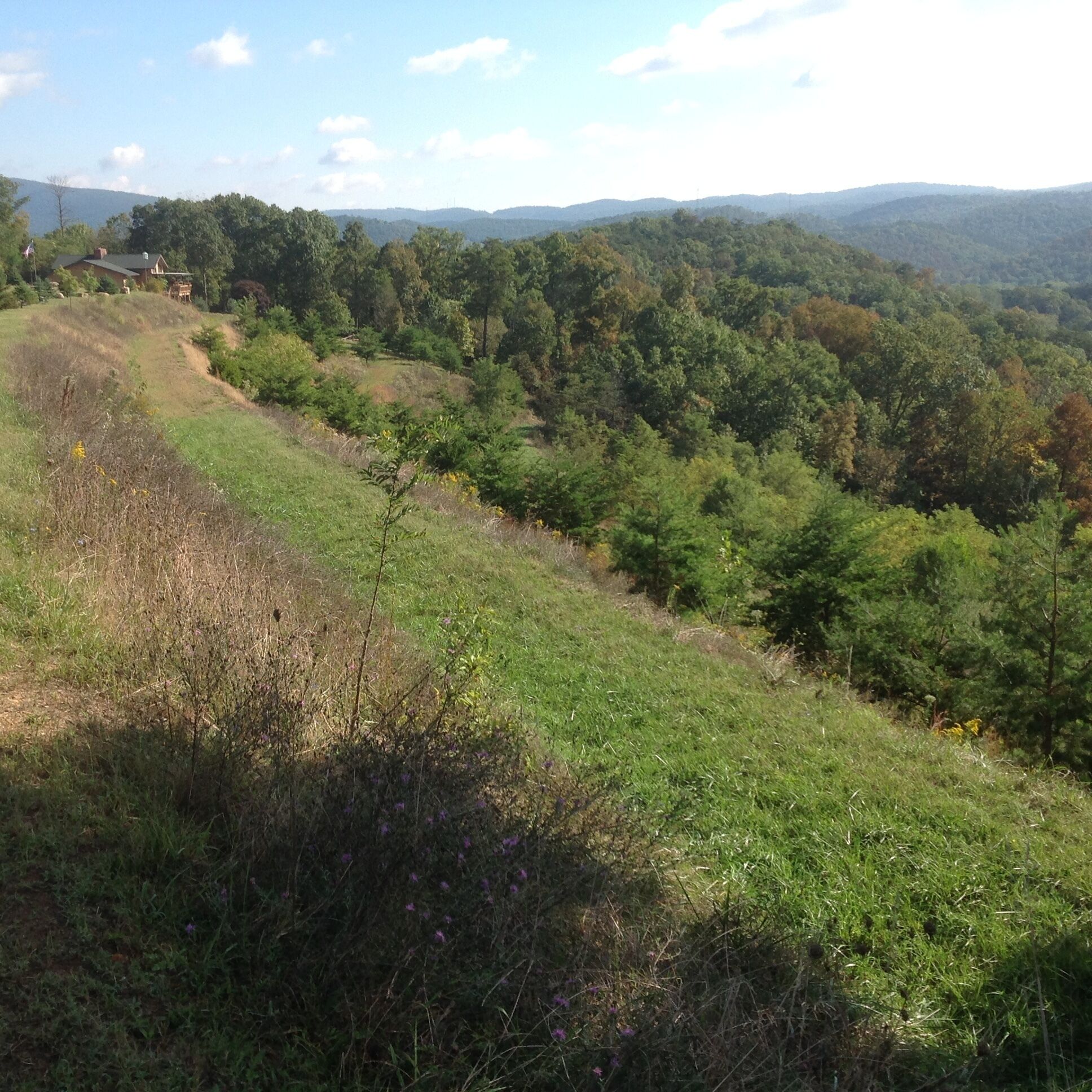 A hilly landscape with a house on a slope.