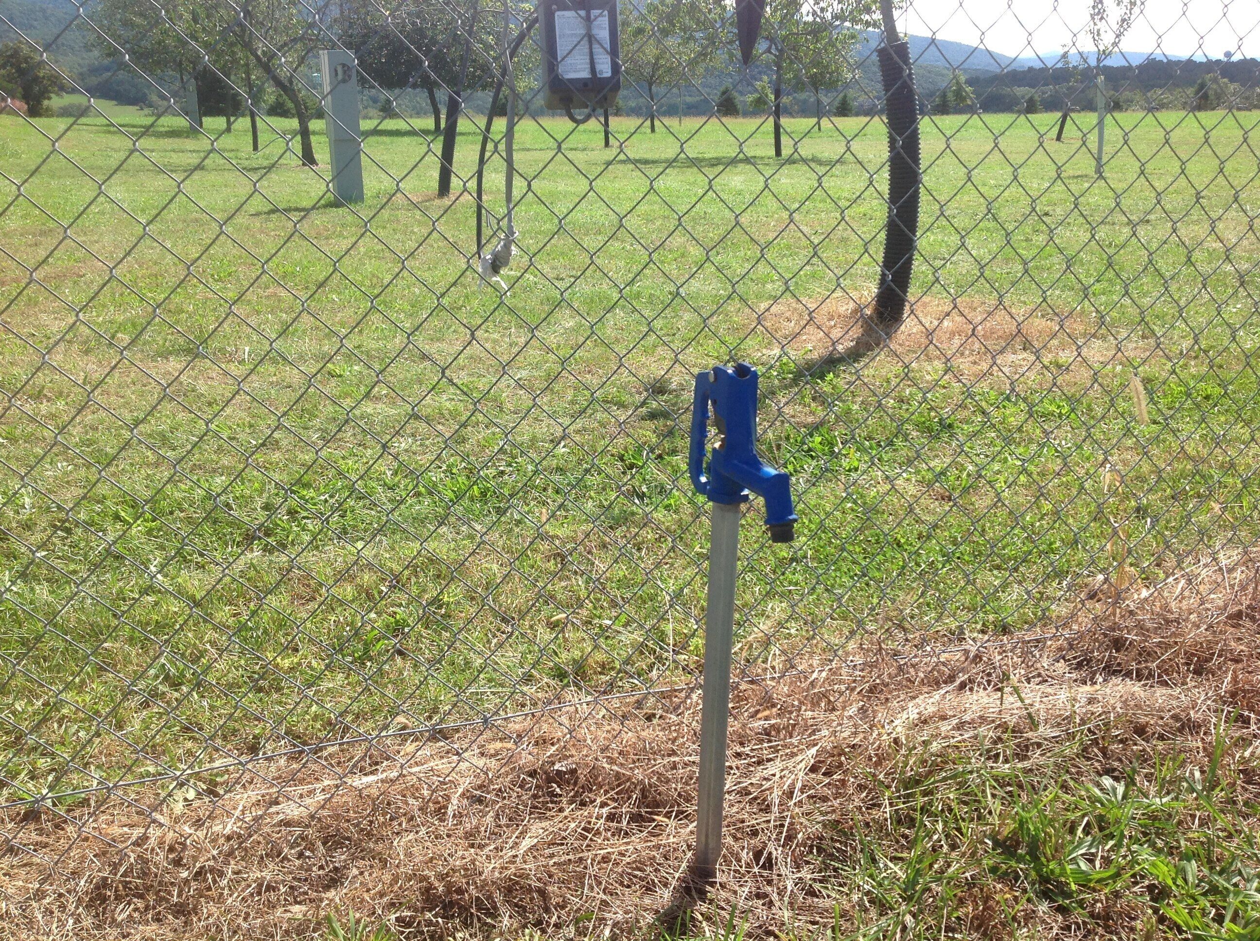 A chain-link fence with a blue metal post in a grassy field.