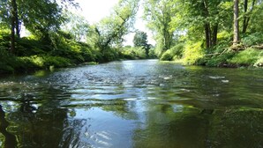 Une rivière qui traverse une zone boisée, bordée de chaque côté d’une végétation luxuriante.