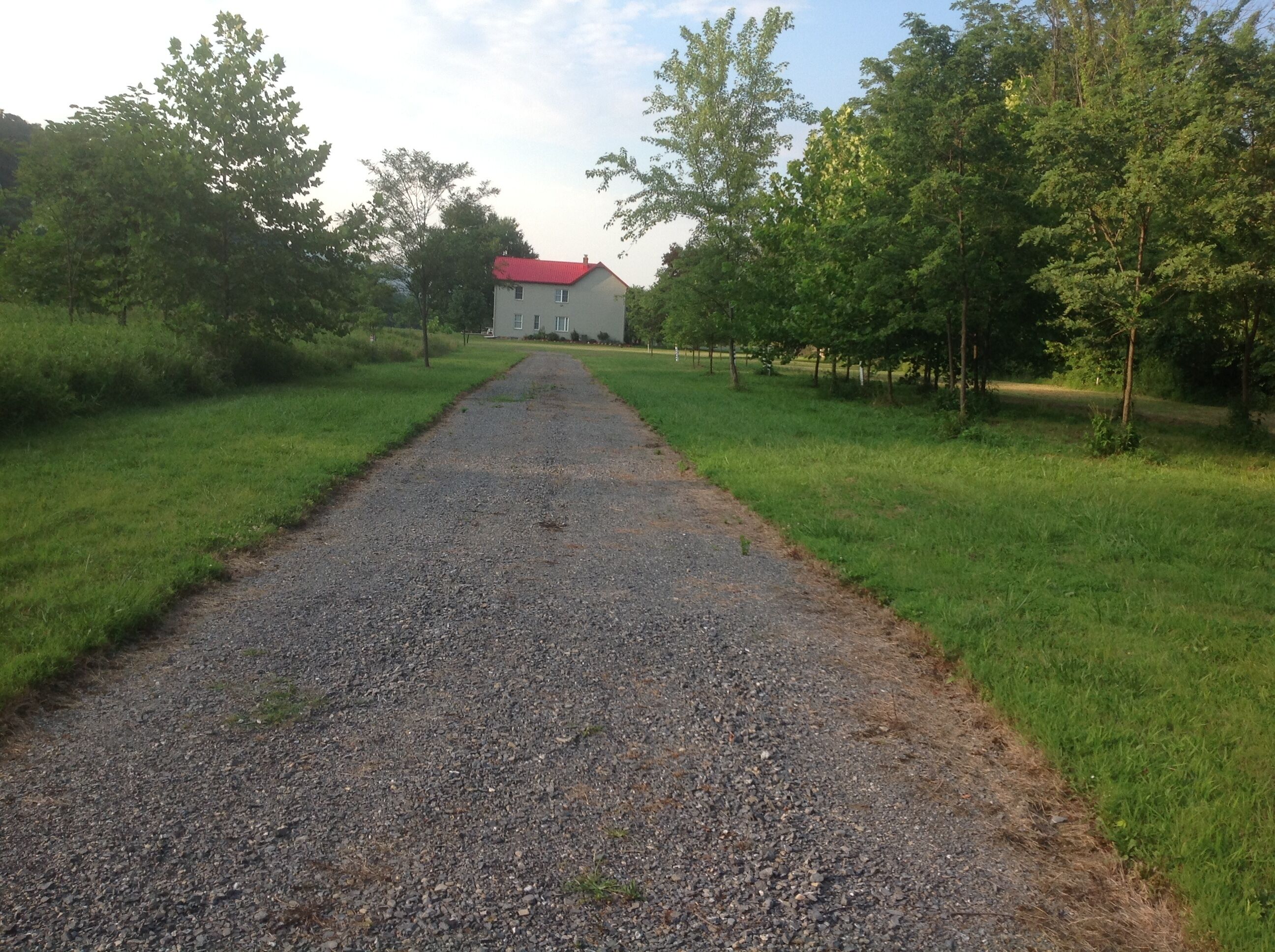 Ein Kiesweg führt zu einem Gebäude mit rotem Dach, umgeben von grünem Gras und Bäumen.