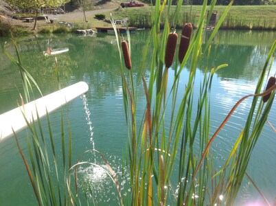 BIG D's POND & North Branch of the Potomac river Camping.