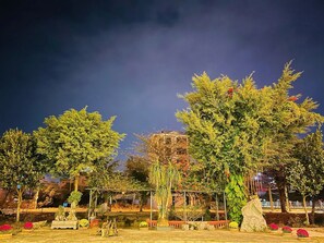 A well-lit outdoor area with trees, a small pond, and various plants and rocks.