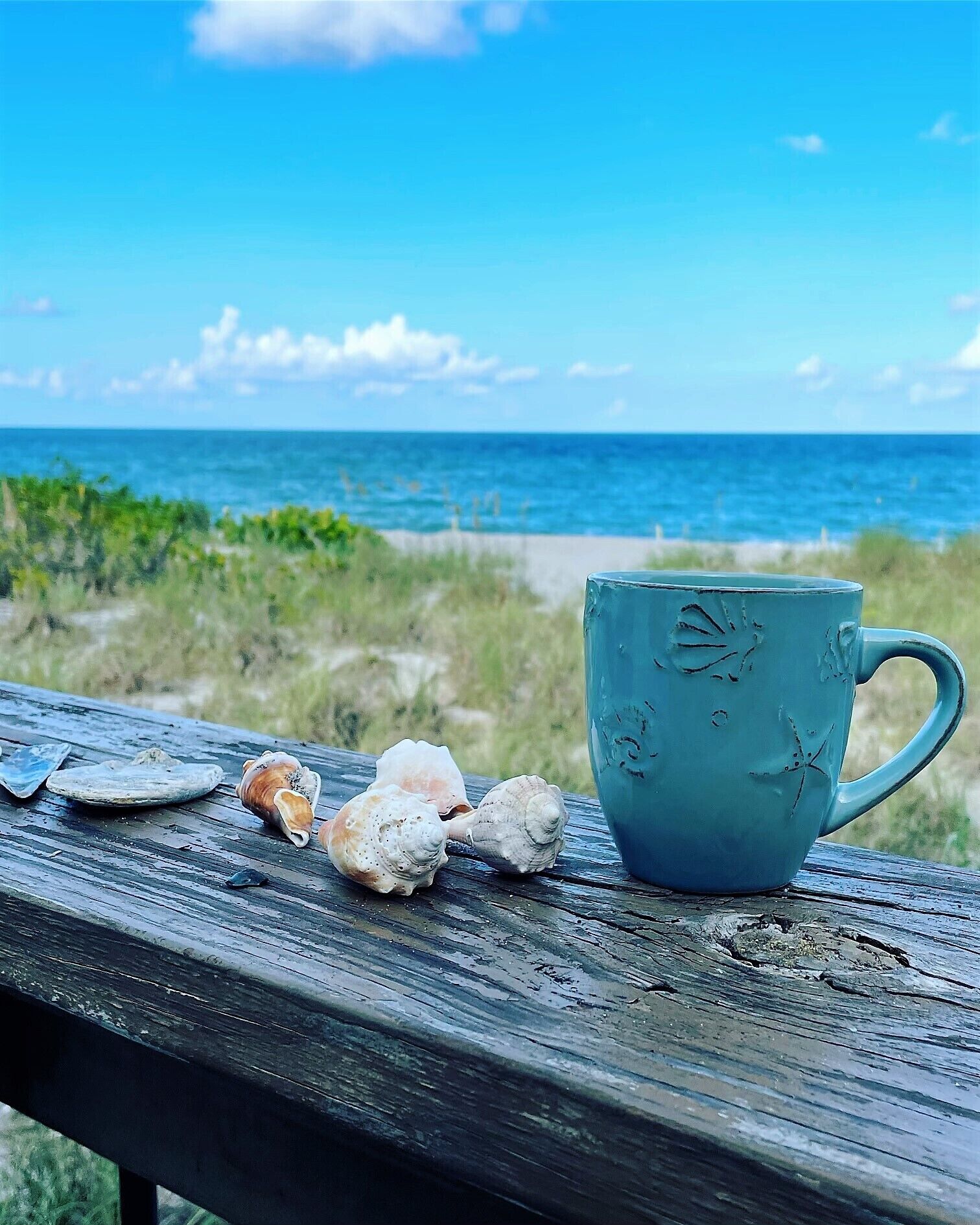 Beachfront Cottage, Best location on Manasota Key, Sleeps 4, Kayaks and Wi-Fi