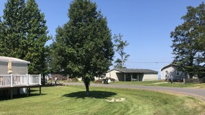 Un quartier résidentiel avec une pelouse verdoyante, un arbre et une maison dotée d’un porche.