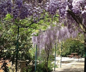 A garden with purple wisteria vines hanging over a pathway. - Gentilini Retreat (Kefalonia)