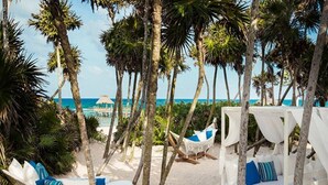 A beach with hammocks and a canopy bed.