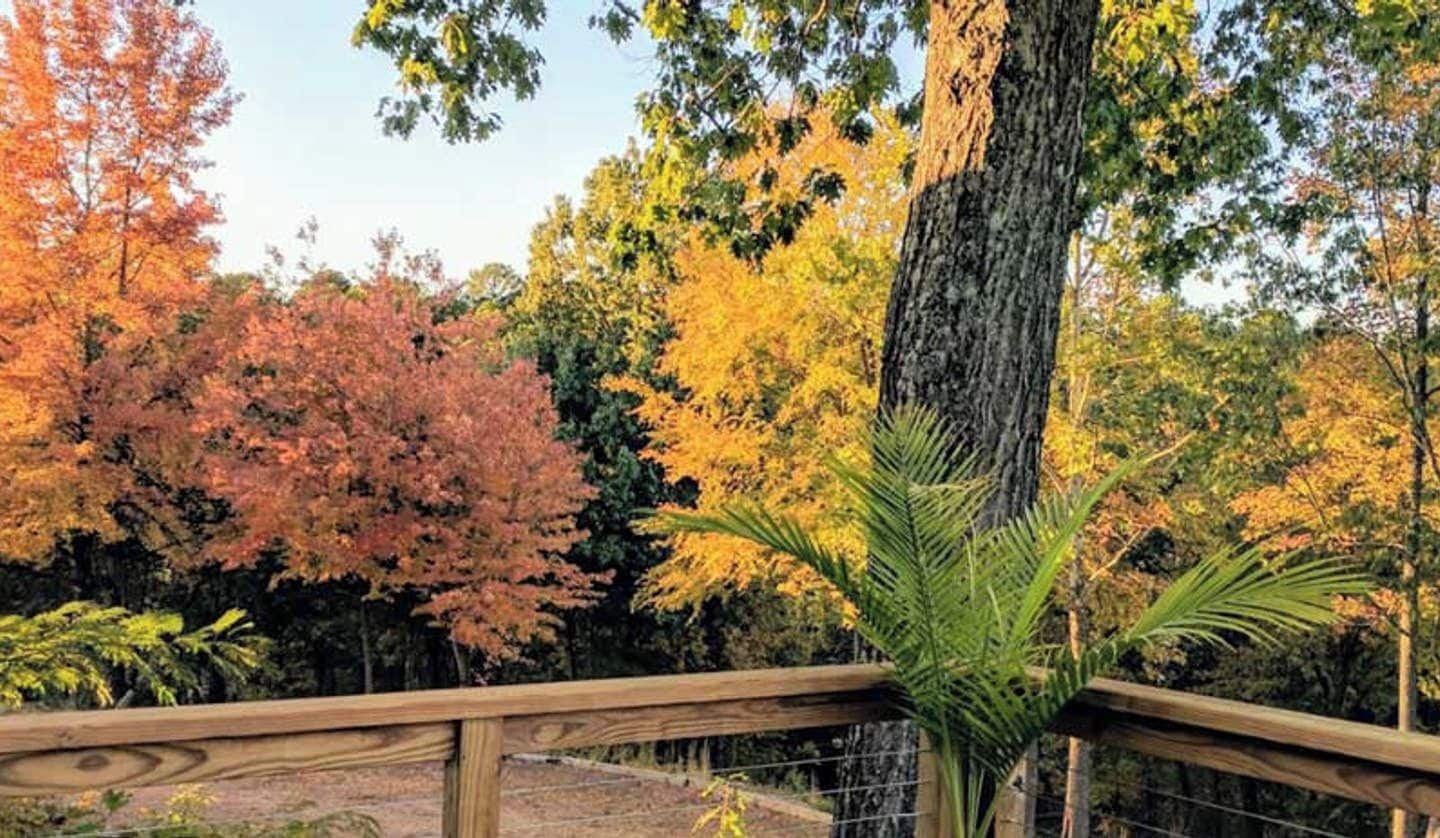 Vista da un pontile di legno con autunno sullo sfondo.