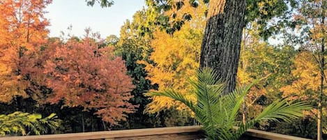 Vista da un pontile di legno con autunno sullo sfondo.