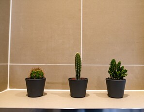 Tres cactus en macetas sobre una estantería frente a un muro de azulejos.