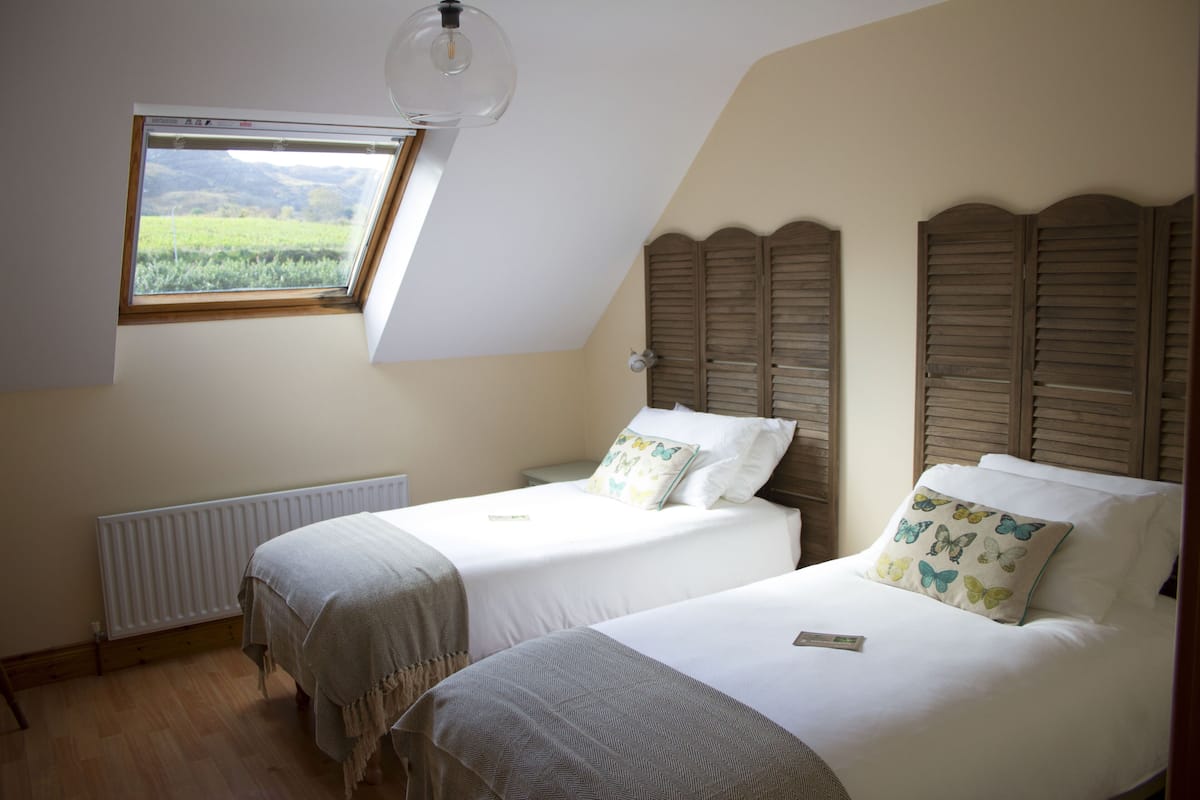 A bedroom with two beds, a skylight, wooden shutters, and a radiator.