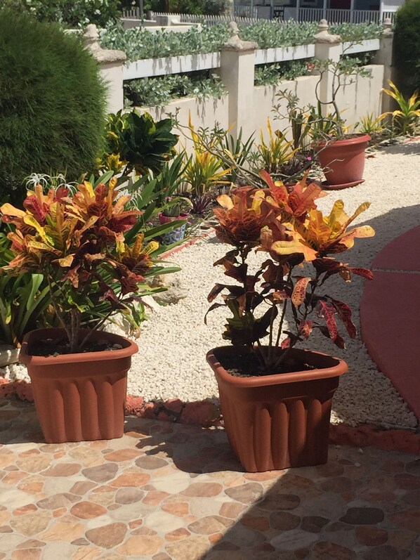 Jardín