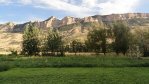 Un paysage montagneux avec un premier plan composé d’une prairie et d’arbres.