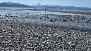 A rocky beach with a clear sky and distant mountains.