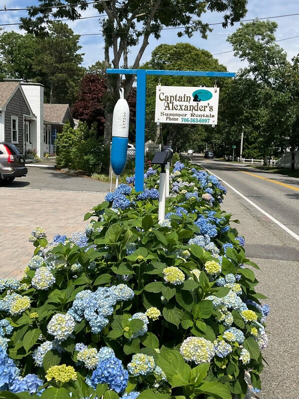 Een bord langs de weg voor Captain Alexander's Summer Rentals, met een brievenbus en een blauwe raketversiering.