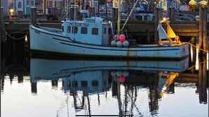 Een kleine vissersboot afgemeerd in een haven, met huizen op de achtergrond.