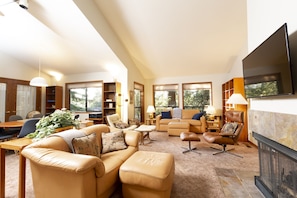 Smart TV, fireplace, DVD player, books