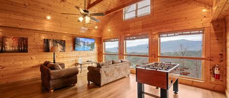 TV, fireplace, DVD player, foosball