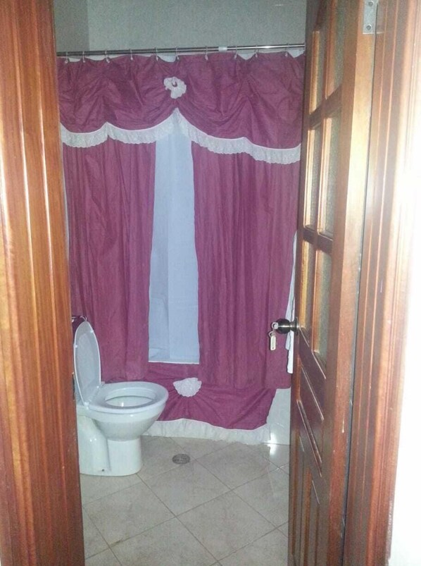 A bathroom with a toilet, a shower curtain, and a wooden door. - Casa anilda & albino (São Filipe)