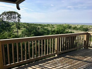 Property grounds - Beach Plum: Delightful beachfront cottage  perfect for couples and families. (Milton)