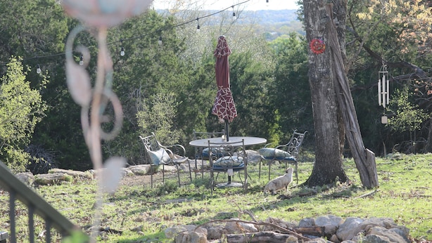 A garden with a dining table and chairs, surrounded by trees and a large tree with a hanging ornament. - Guadalupe River, Hill Country Texas (Boerne)