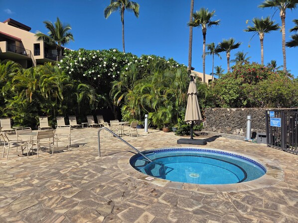 A pool area with lounge chairs, a pool, and palm trees. - Christmas with an oceanview at Kamaole Sands (Kihei)
